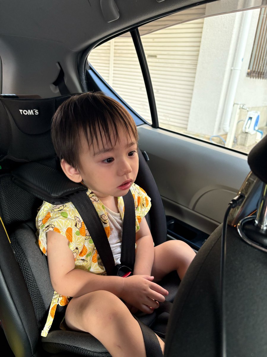 関連ポストの添付画像